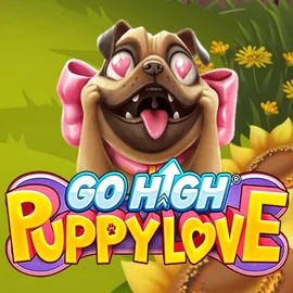 Go High Puppy Love game by RubyPlay – logo hosted on Gambiva Casino